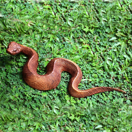 Welcome to the year of the Wood Snake!