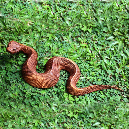 Lunar New Year: Yin Wood Snake